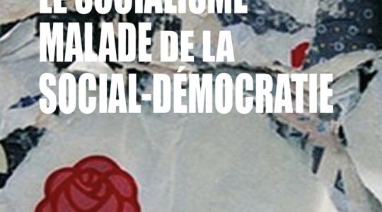 Conférence en ligne - Le socialisme malade de la social-démocratie 