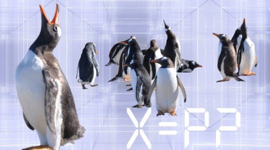 Que fabrique une IA&nbsp;?  