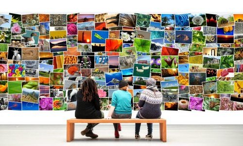 Le photolangage, un outil d’animation vivant&nbsp;!
