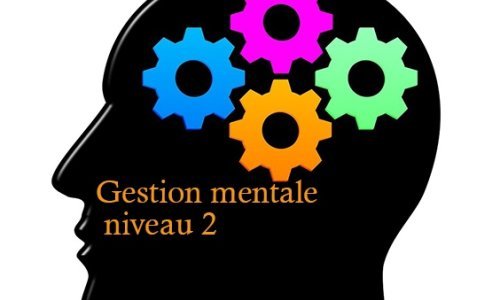 Gestion mentale - niveau 2