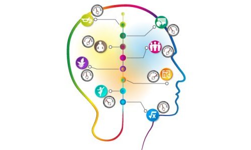 Les intelligences multiples pour animer les groupes