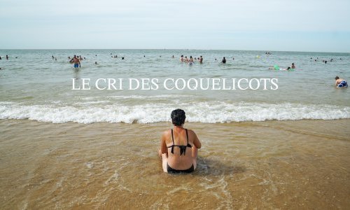 Projection-débat | «&nbsp;Le cri des coquelicots&nbsp;»